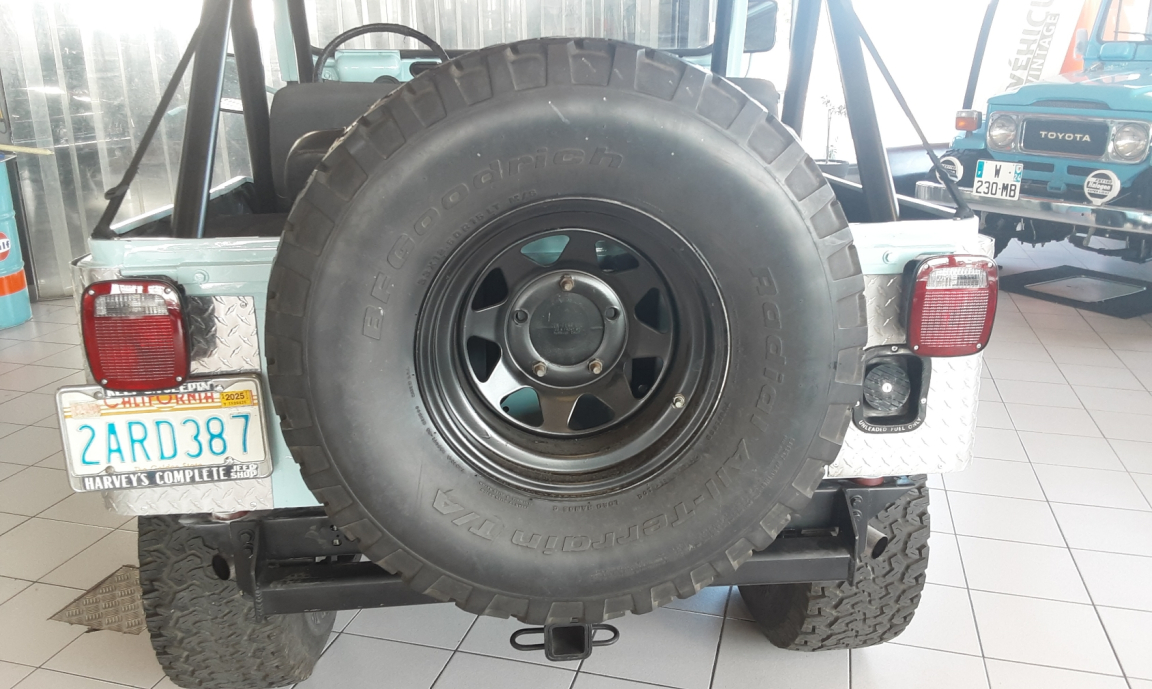 Jeep Wrangler - CJ5 V8 304 CI 1979 BLEUE